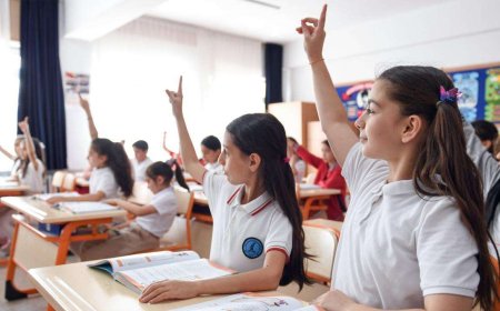 Okullara yeni zorunlu ders geliyor